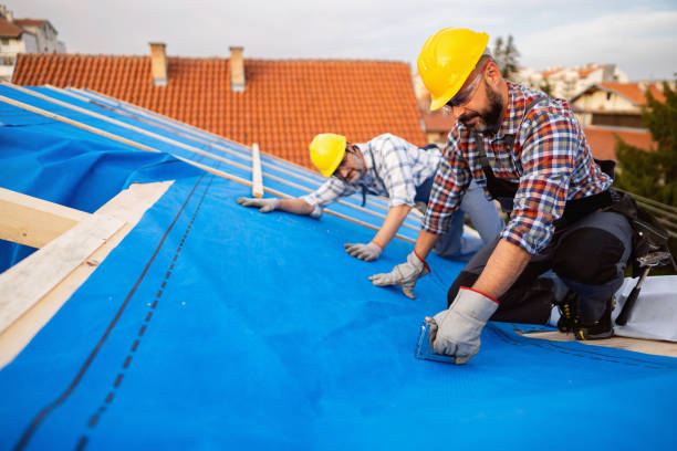 Fast & Reliable Emergency Roof Repairs in Carrizozo, NM